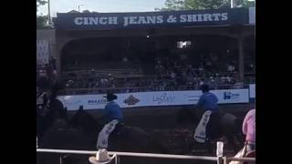 PRCA Bareback Riding Life!! Net Worth
