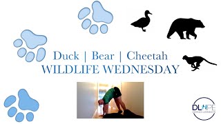 Wildlife Wednesdays | Duck, Bear, Cheetah | Distance Learning PE