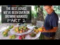 Dr. Richard Campbell Reveals His Best Advice on Mangos & Picks Favorites