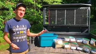 Day in the Life of Interns: Seeding Native Plants at Nichols Arboretum