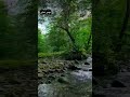 🌹🌹نماهنگ زیبا با صدای مهدی خناری #مازندران #اصالت #موسیقی #مهدی_خناری