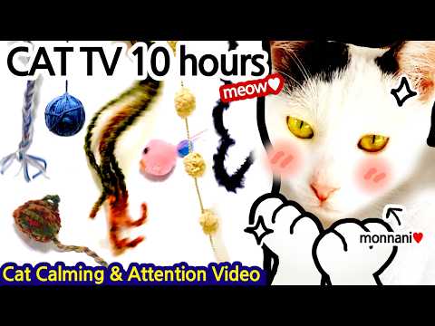 [10H] Moving Yarn & Fur Ball Party! Cat's Favorite Video, Nature Bird Sounds Toy Hunt♥