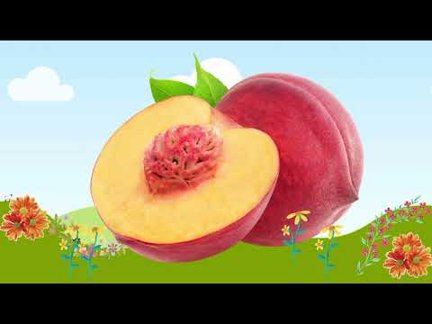 Fruits | Right Brain Training | High Speed Flash Cards