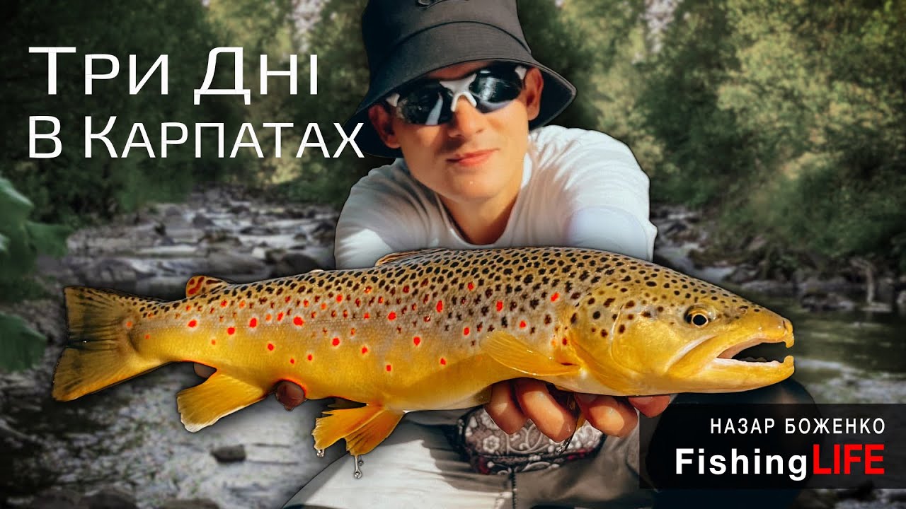 Як Ловити Форель - Рибалка на Форель і Харіуса в Карпатах