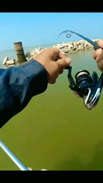 memancing ikan barracuda #fishing #mancing