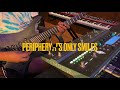 Periphery  its only smiles  guitar solo cover