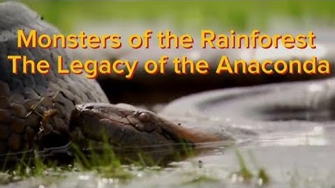 Monsters of the Rainforest The Legacy of the Anaconda
