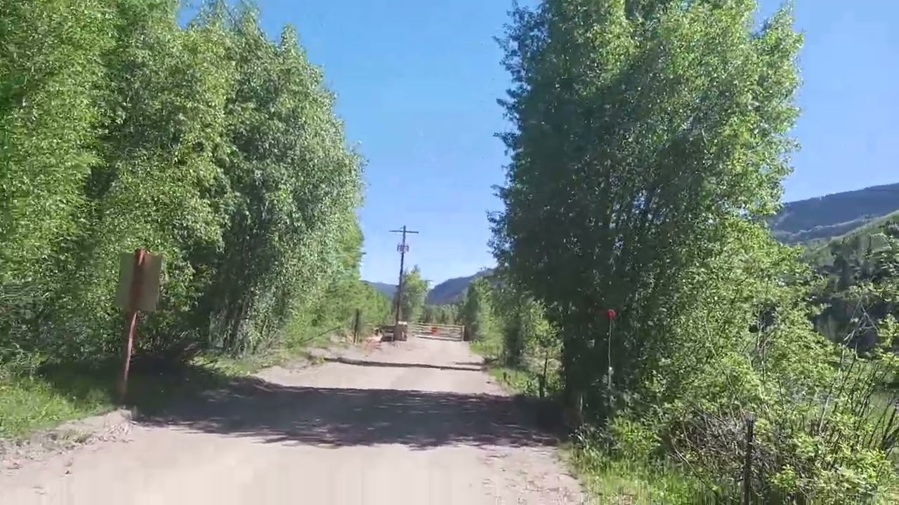 Geologists never told you that rocks, stalactites and petrification can form rapidly.