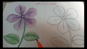 28  GUJ PRI STD 2SUB PRAKRUTI CHITRA BY NILAM