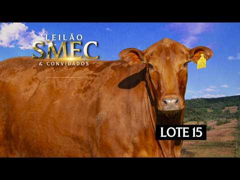 LOTE 15 - Doadora - ZORIAL 182