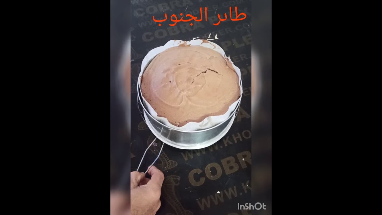 #كيكه سفنجيه بالكاكو قياس20