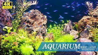 [Environmental sounds, ASMR] Healing moments in an aquarium / for work or sleepless nights.
