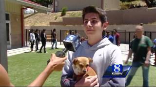 Free adoption event this weekend at SPCA for Monterey County