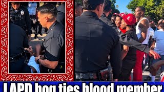 Black stones an r20s bloods confront L.A.P.D at basketball game screenshot 2