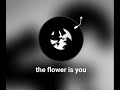 平井堅/the flower is you とっても好きな曲です🎵撮り直しました😌✨