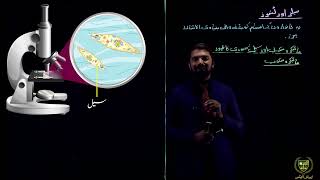 سیلز کا تعارف || 9 اردو میڈیم بیالوجی || باب 4