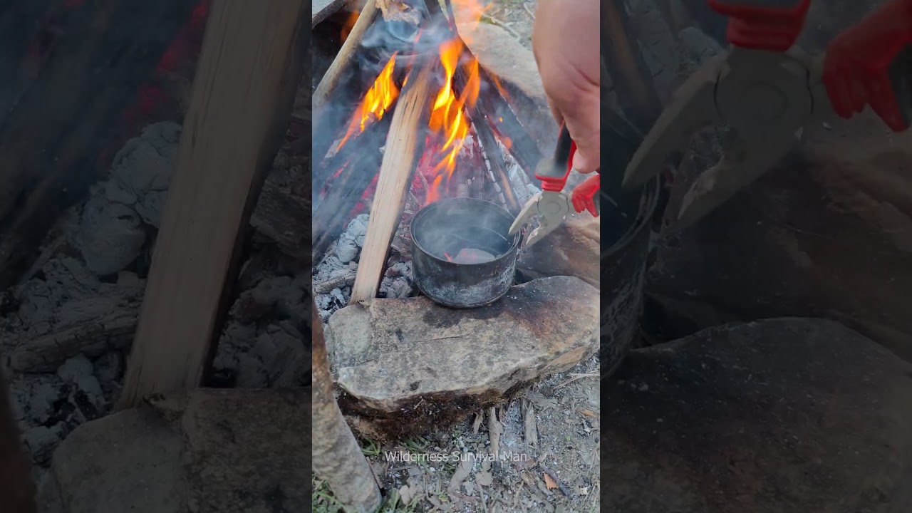 The Best Life Hack In The Wilderness | Bushcraft Ideas | Pro Survival Tips 