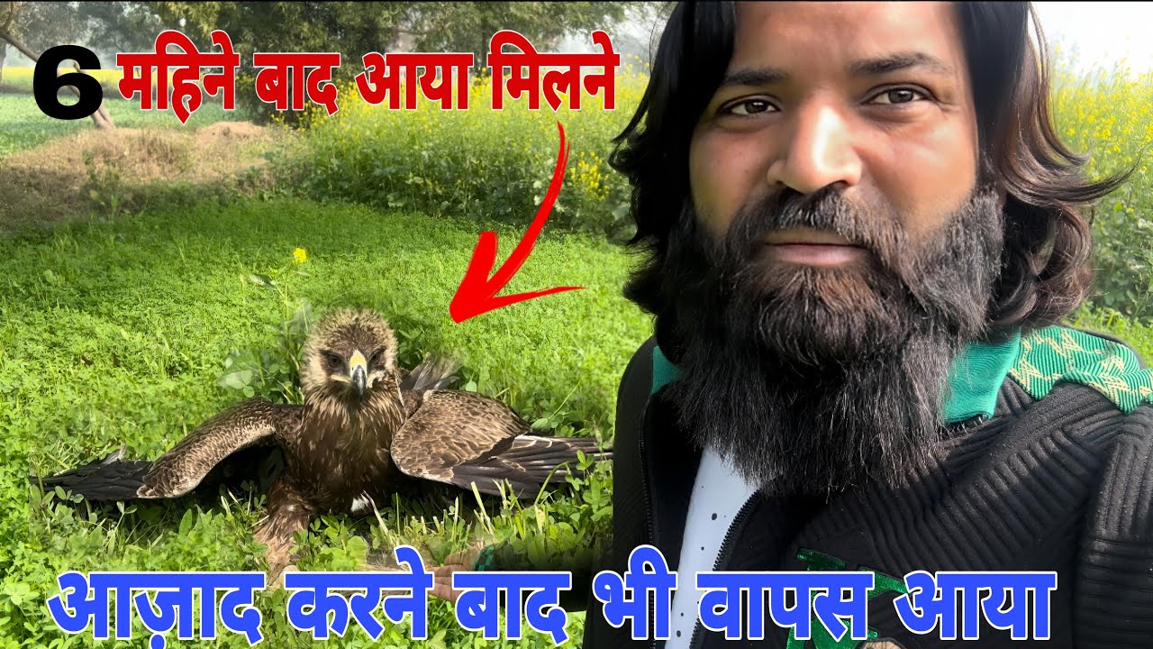 6 महीने बाद घर वापस आया बाज़
