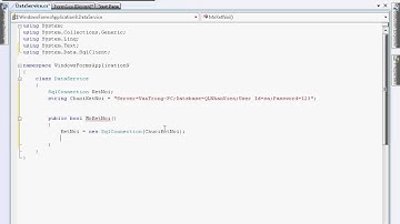 WindowsForms 4 connection and query data