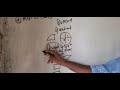 Fundamentals of Quadratic Functions and Equations: Problems and Solutions( Part 1&2)(2)