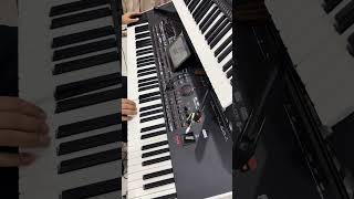 Download Lagu Natalya Yadm Karawa Korg pa4x danapianist Azizakam MP3