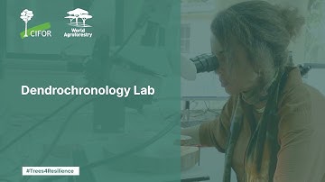 Analysing tree rings to tackle climate change