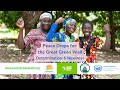 18. Peace Drops for the Great Green Wall. Determination and Newness.