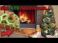 Our Reptiles Open their Christmas Gifts!