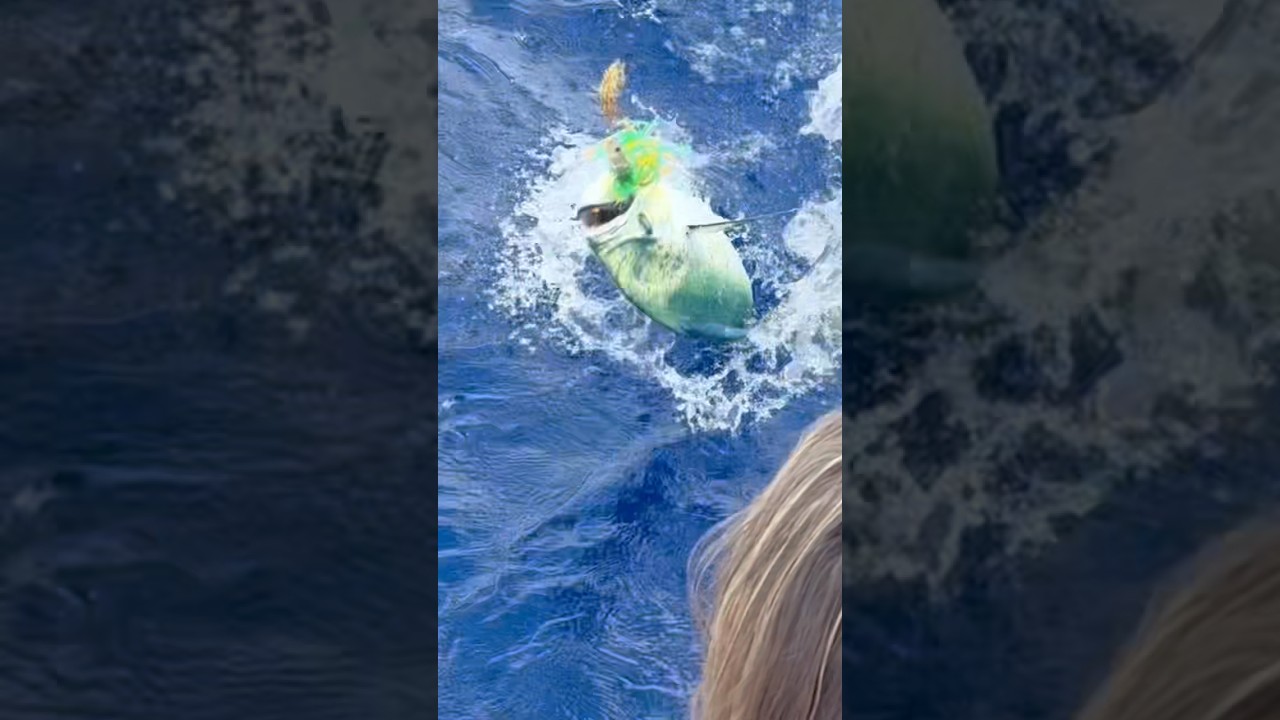 Nobody Expected Me To Do This 😳🐟 #sailingfamily #boatlife #fishing