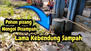 SEVERE❗️RIVER DAMAGED BY TRASH❗️MAIN CAUSE OF FLOODING❗️#kdm