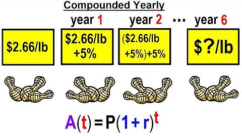 Algebra Ch 46: Exponential Functions (3 of 12) Solve Compounded YEARLY Word Problem