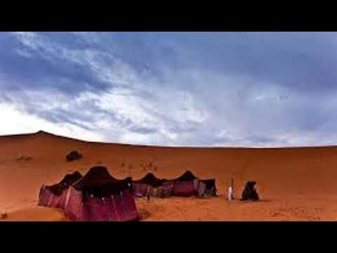 يا جيب جناح الصقر مسرعة