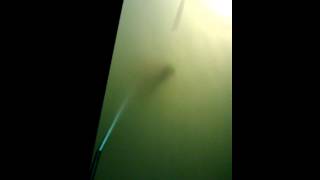 Huge Dry Ice Bomb Underwater