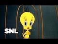 Tv funhouse fixed cartoons  saturday night live