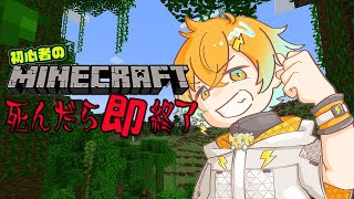 【Minecraft】初心者ヒーローがエンドラ討伐チャレンジ 5回目【宇佐美リト/にじさんじ】