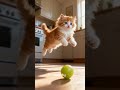 Tiny Cat vs Big World