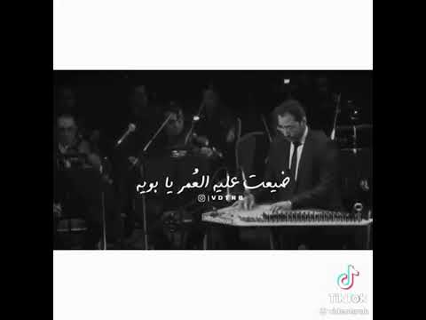 موسيقي اغنيه سلامات عبدالحليم حافظ