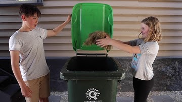 Meet your FOGO Wheelie Bin!