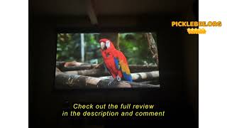 Review VonHaus Pull Down Projector Screen, 80" Wall Mounted 4K HD Projection Screen with 16:9 Aspect