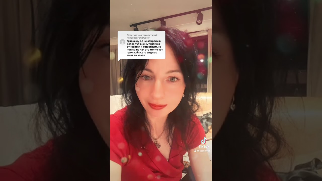 Вломились в окно и забрали собаку! Австралия 🇦🇺 