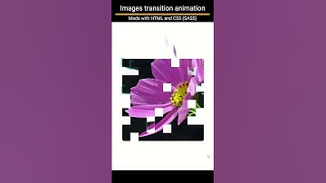 Images transition animation. Made with HTML and CSS ( SASS )