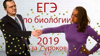 ЕГЭ биология 2019 за 7 уроков. 4/7 (законы Менделя, зародышевые листки) ЕГЭ биология 2019 за 7 уроков. 4/7 (законы Менделя, зародышевые листки)