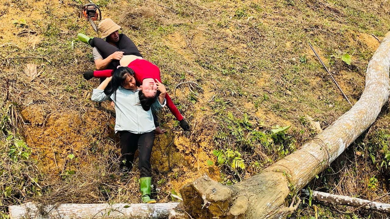 Грузовик, перевозящий древесину; девушка несправедливо обвинена; что происходит, когда возвращает...