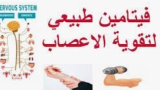 أفضل 10 اطعمه لتقويه الاعصاب والعضلات