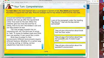 Student Practice with Data Reporting - Wonders