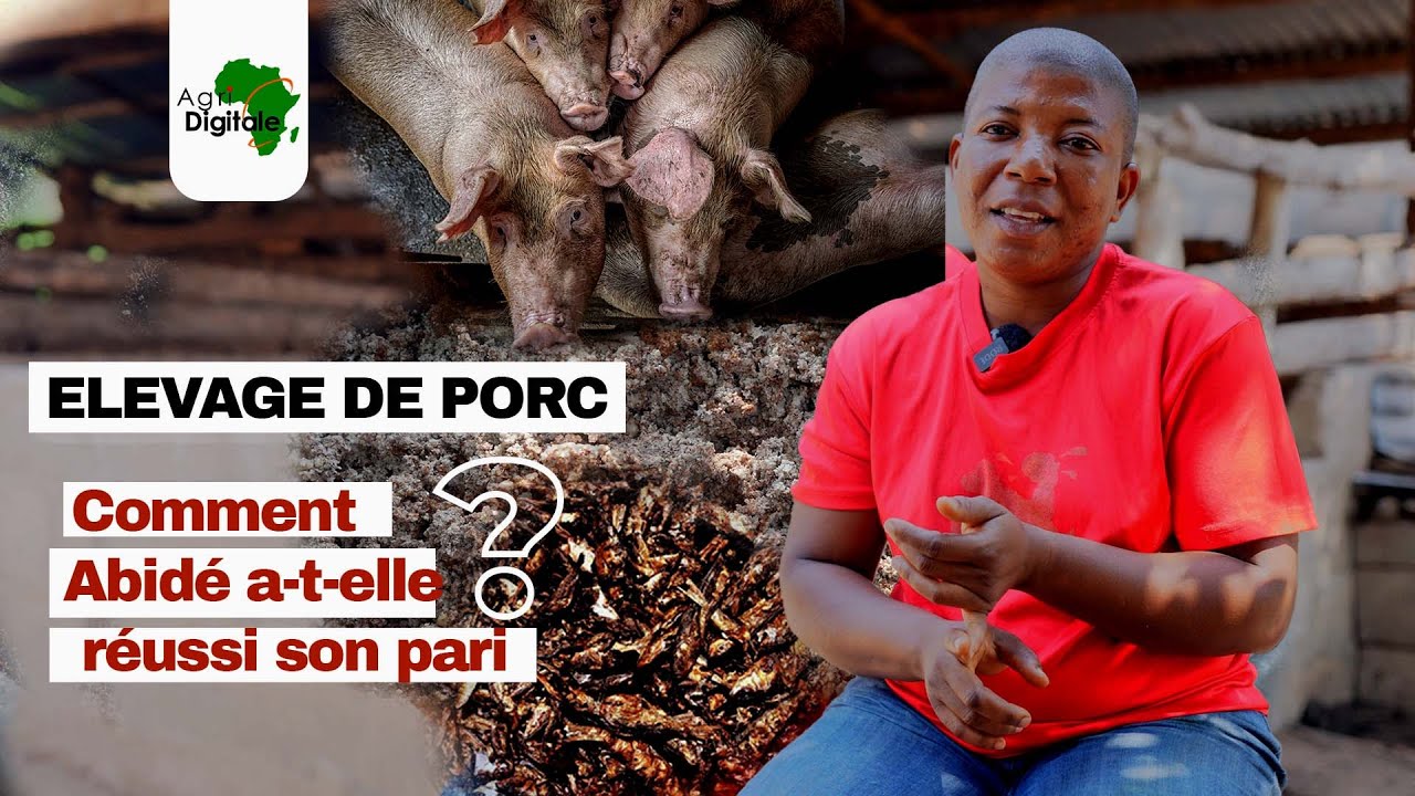Cette femme veut devenir une championne en élevage de porc | Agridigitale