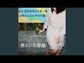君のいる町
