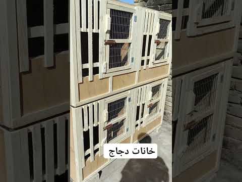 خانات دجاج قياس ٨٠مربع