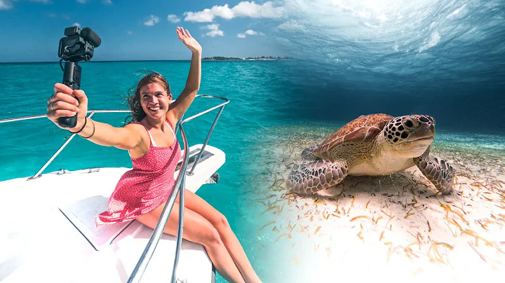 How Cinematic Can GoPro HERO10 Be? In The Bahamas...
