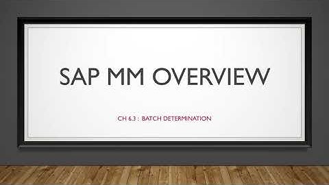 ERP คือ อะไร : SAP MM Overview  CH 6.3 - Batch Determination
